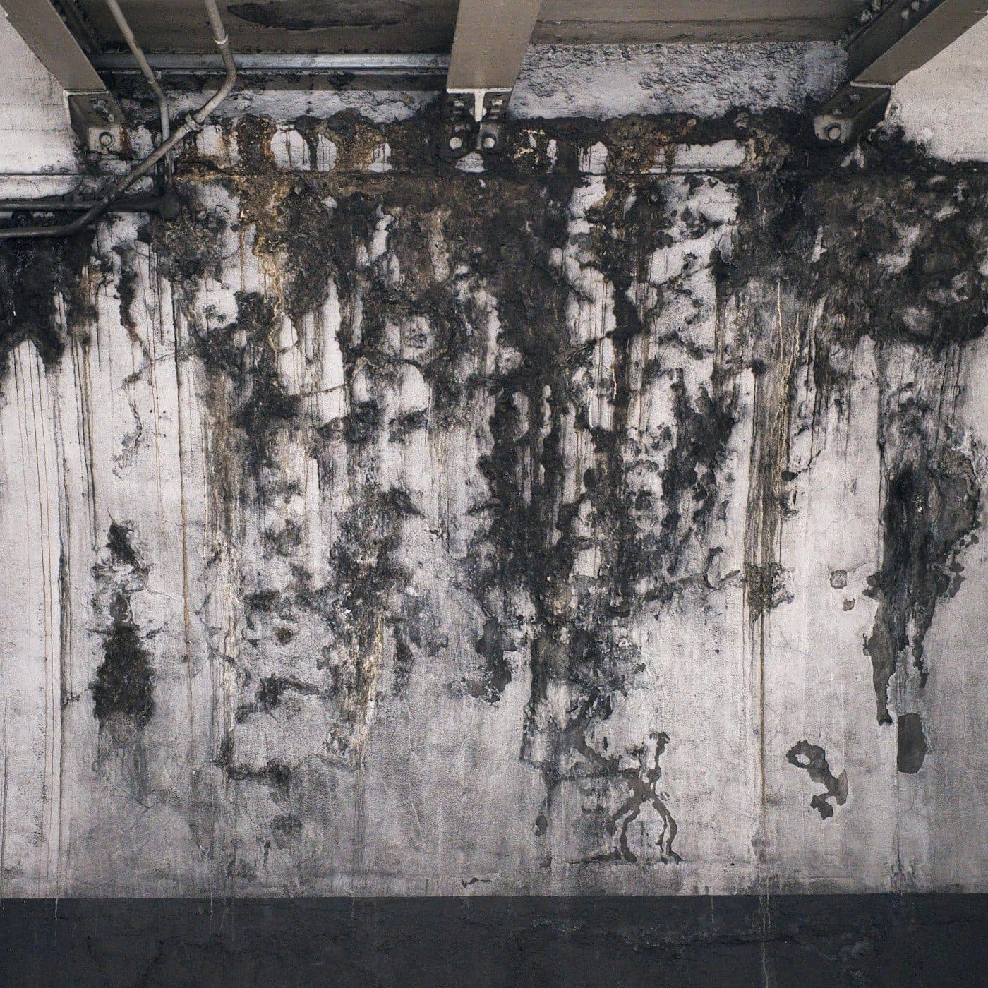 Damp staining spreading across a damaged property wall
